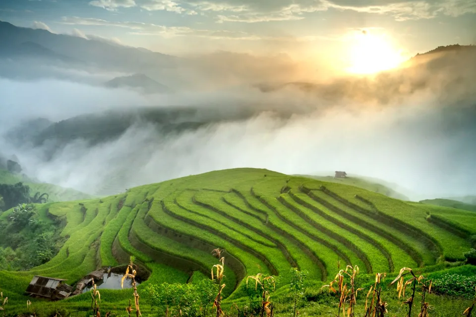 Kho gạo của Gạo